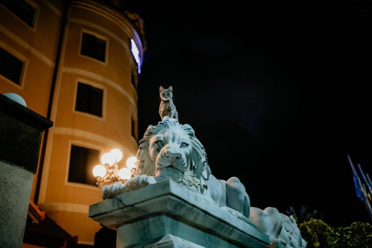 Coandi Hotel