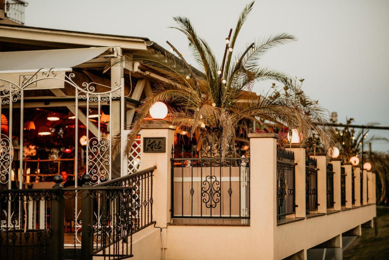 Hotel Coandi