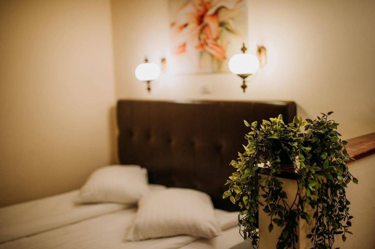 Hotel Coandi 3*